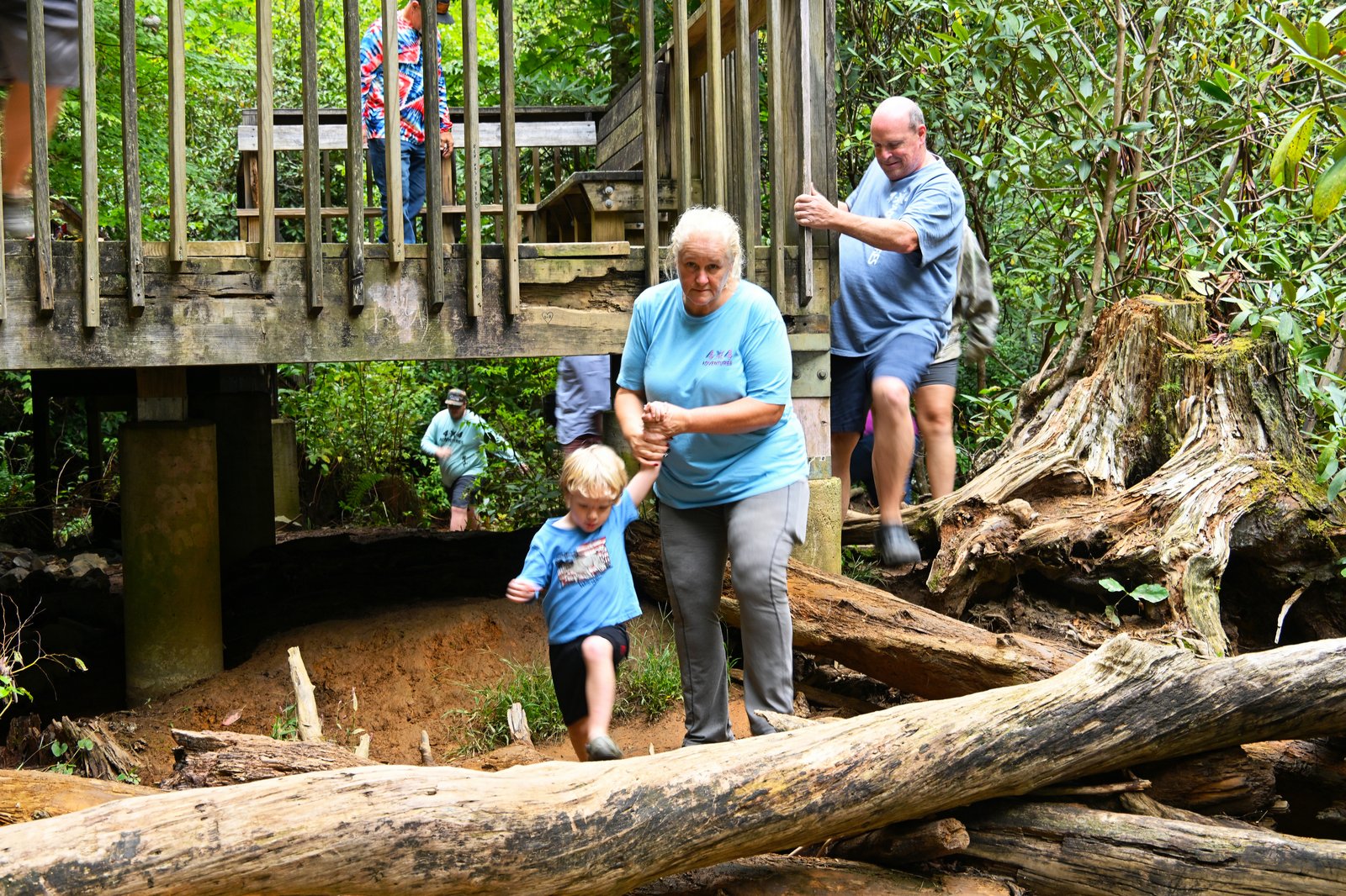 Crossing logs on the trail