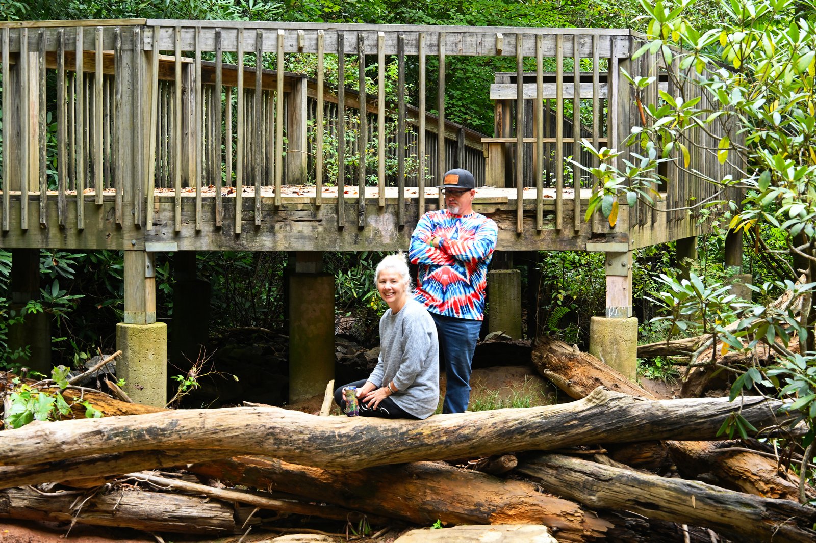 Waterfall overlook