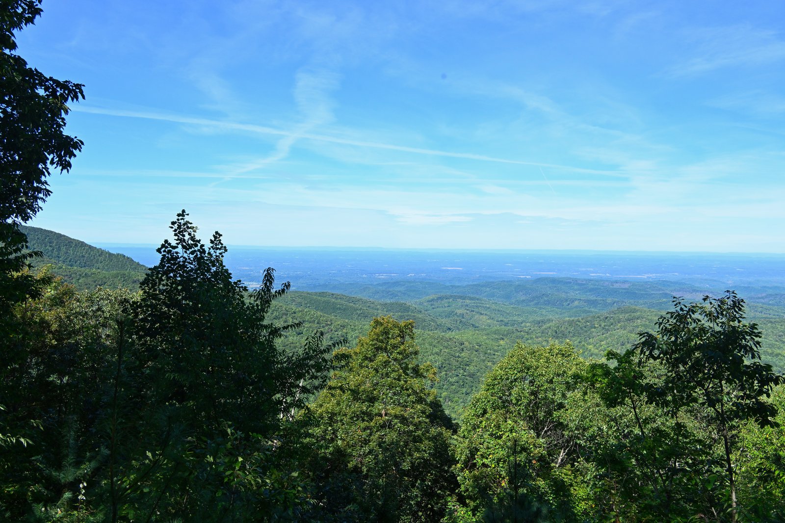 Jeeps on a Cohutta mountain road