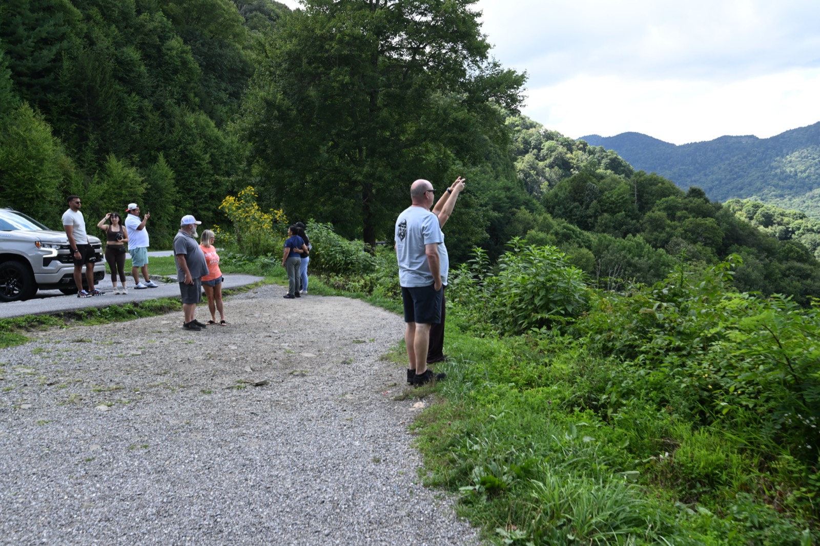 Overlook in the Great Smoky Mountains